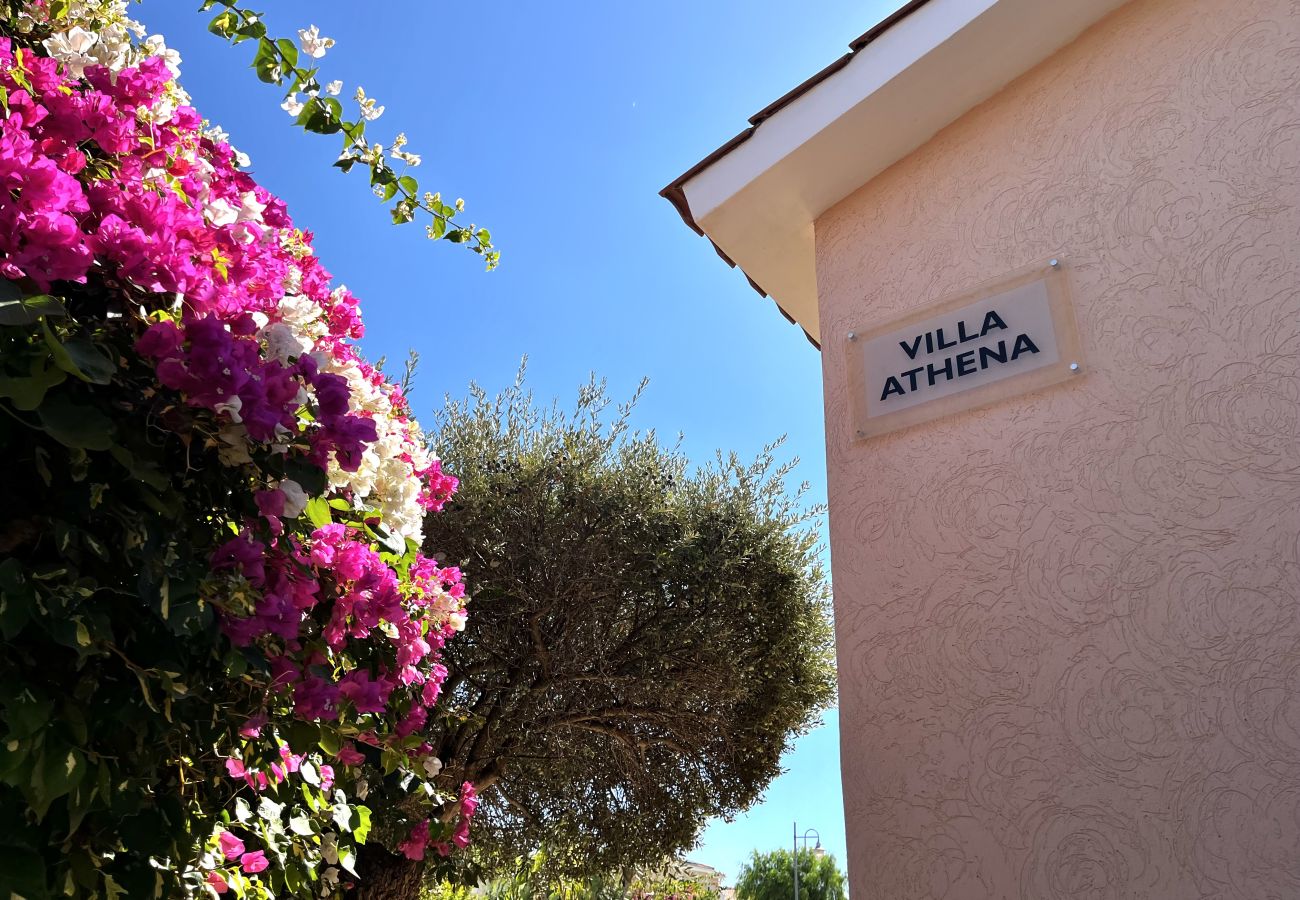 Villa in Kouklia - STAY Athena Villa