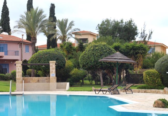 Apartment in Paphos - STAY Regina Apartment