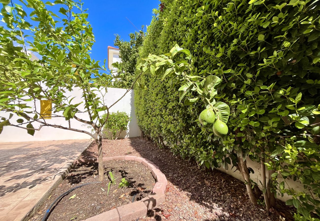 Villa in Paralimni - STAY Dream Villa