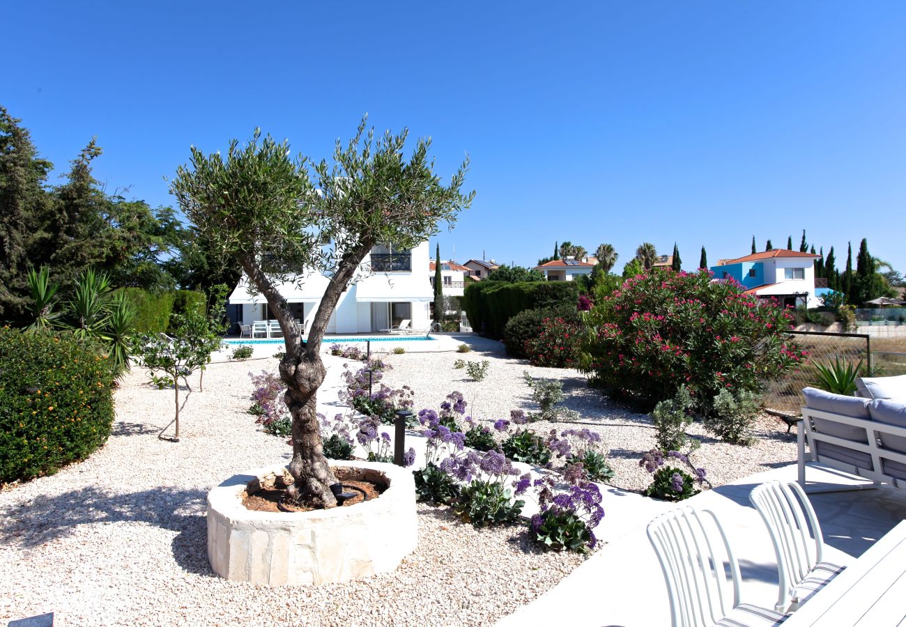 Вилла на Pissouri - STAY Pantheon Villa