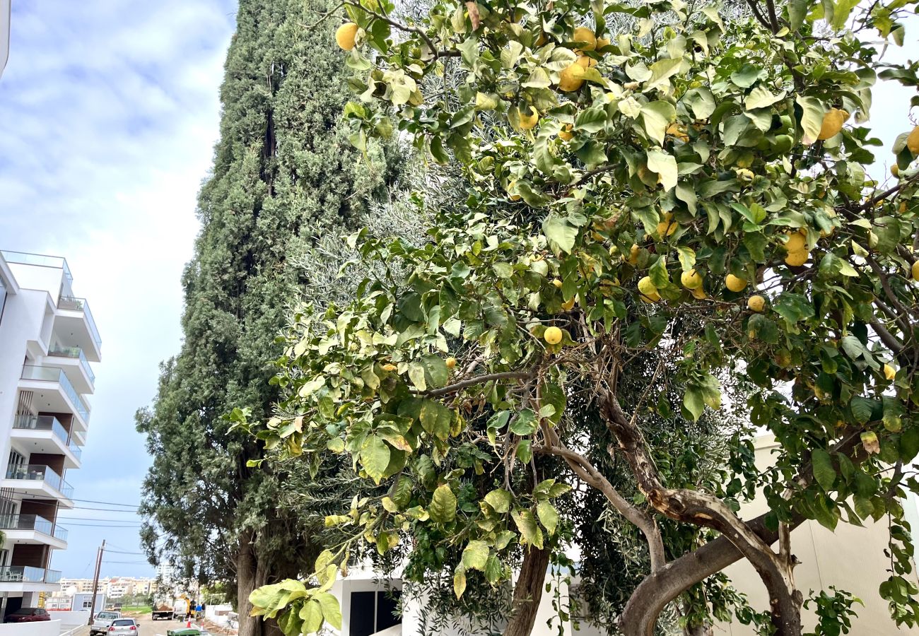 Апартаменты на Larnaca - STAY Blue House 